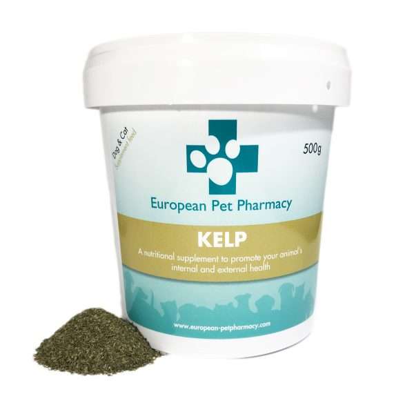 algas Kelp para perros