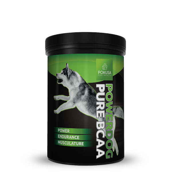 BCAA para perro